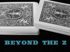 Beyond the Z by Steve Reynold - Click Image to Close